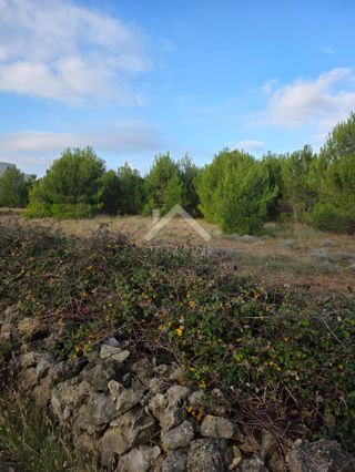 Zemljište - Prodaja - ZADARSKA - VIR - VIR