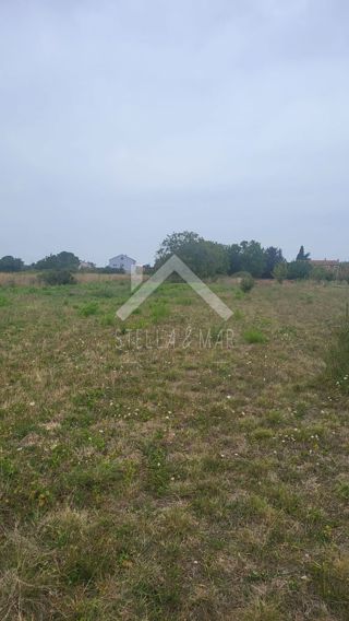 Grundstück - Verkauf - ZADARSKA - ZEMUNIK DONJI - ZEMUNIK DONJI