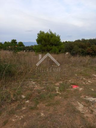 Land - Sale - ZADARSKA - VIR - VIR