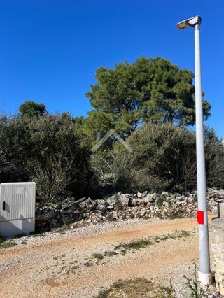 Land - Sale - ZADARSKA - VIR - VIR