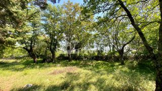 Land - Sale - PRIMORSKO-GORANSKA - KRK - VRBNIK