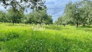 Land - Sale - PRIMORSKO-GORANSKA - KRK - MALINSKA