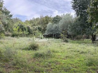 Land - Sale - PRIMORSKO-GORANSKA - KRK - MALINSKA