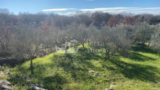 Land - Sale - PRIMORSKO-GORANSKA - KRK - MALINSKA