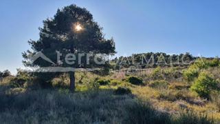 Land - Sale - ŠIBENSKO-KNINSKA - VODICE - VODICE