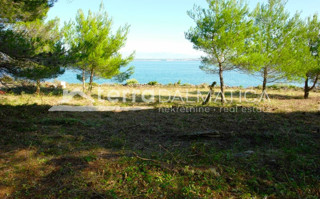 Zemljište - Prodaja - OSJEČKO-BARANJSKA - ŠODOLOVCI - ADA