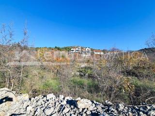 Land - Sale - OSJEČKO-BARANJSKA - ŠODOLOVCI - ADA