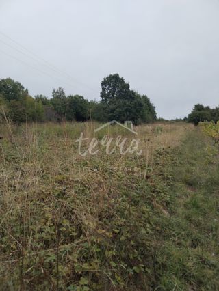 Land - Sale - ISTARSKA - LABIN - LABIN