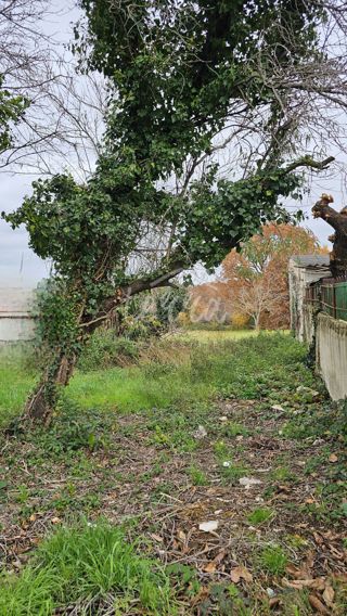 Land - Sale - ISTARSKA - BRTONIGLA - BRTONIGLA