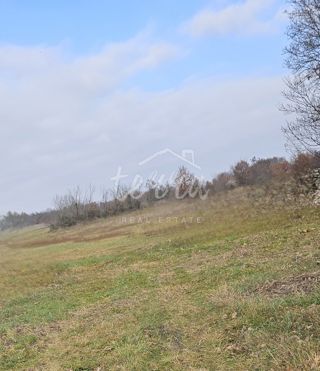 Land - Sale - ISTARSKA - VODNJAN - VODNJAN