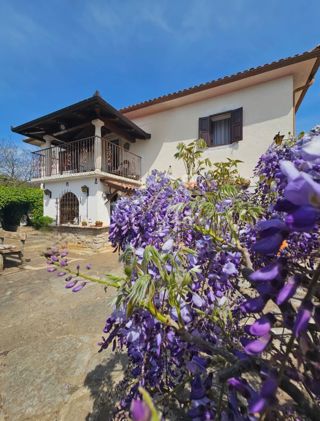 House - Sale - ISTARSKA - BUJE - BUJE