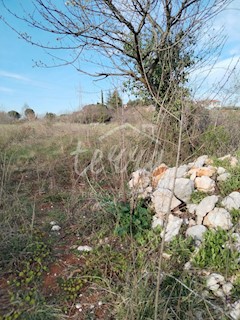 Land - Sale - ISTARSKA - LABIN - LABIN