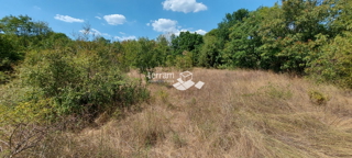 Land - Sale - ISTARSKA - LIŽNJAN - ŠIŠAN