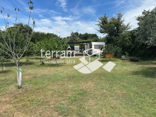 Land - Sale - ISTARSKA - LIŽNJAN - LIŽNJAN