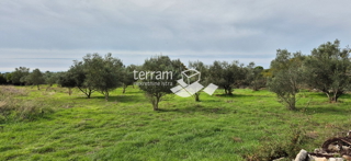 Land - Sale - ISTARSKA - VODNJAN - GALIŽANA