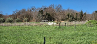 Land - Sale - ISTARSKA - MARČANA - LOBORIKA