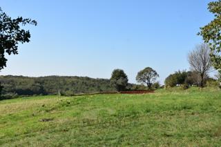 Land - Sale - ISTARSKA - VIŽINADA - VIŽINADA