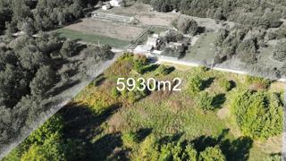 Land - Sale - ISTARSKA - POREČ - ŽBANDAJ