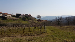 Land - Sale - ISTARSKA - POREČ - POREČ