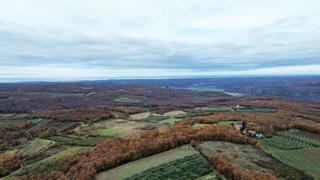 Land - Sale - ISTARSKA - VIŽINADA - VIŽINADA