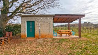 Land - Sale - ISTARSKA - POREČ - POREČ