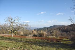 Zemljište - Prodaja - ISTARSKA - KAROJBA - KAROJBA