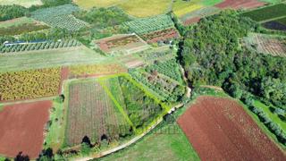 Land - Sale - ISTARSKA - POREČ - NOVA VAS