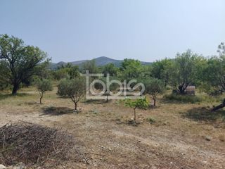 Land - Sale - ZADARSKA - STANKOVCI - BANJEVCI