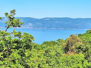 Land - Sale - ISTARSKA - RAŠA - DRENJE
