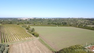 Zemljište - Prodaja - ISTARSKA - BRTONIGLA - BRTONIGLA