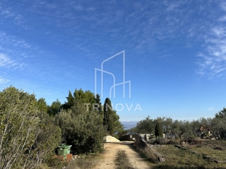 Grundstück - Verkauf - ZADARSKA - UGLJAN - UGLJAN