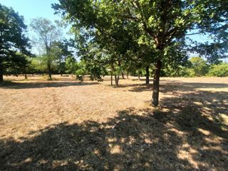 Land - Sale - ISTARSKA - KRŠAN - KRŠAN