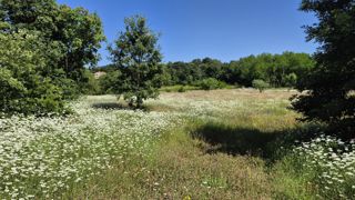 Grundstück - Verkauf - ISTARSKA - LABIN - LABIN