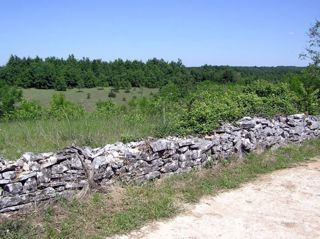 Land - Sale - ISTARSKA - ŽMINJ - ŽMINJ