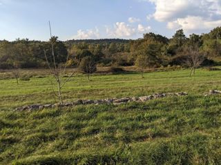 Land - Sale - ISTARSKA - LABIN - LABIN
