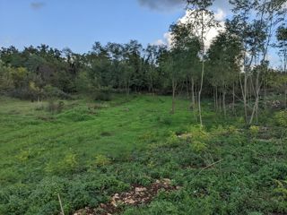 Land - Sale - ISTARSKA - LABIN - LABIN