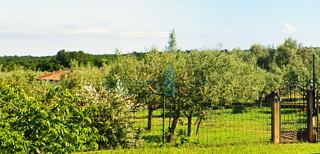 Zemljište - Prodaja - ISTARSKA - UMAG - UMAG