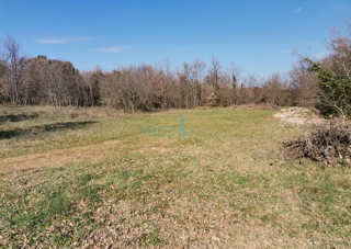 Land - Sale - ISTARSKA - MARČANA - KRNICA
