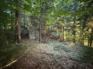 Land - Sale - PRIMORSKO-GORANSKA - LOKVE - LOKVE