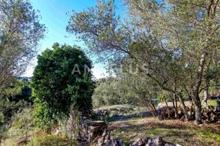 Zemljište - Prodaja - DUBROVAČKO-NERETVANSKA - DUBROVNIK - ŠIPANSKA LUKA