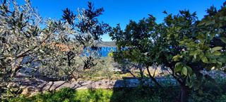 House - Sale - SPLITSKO-DALMATINSKA - ŠOLTA - NEČUJAM