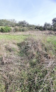 Land - Sale - ZADARSKA - SUKOŠAN - SUKOŠAN