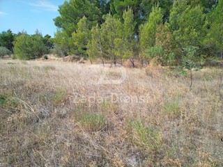 Land - Sale - ZADARSKA - STARIGRAD - STARIGRAD