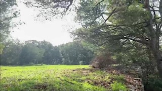 Land - Sale - ZADARSKA - ZADAR - SILBA