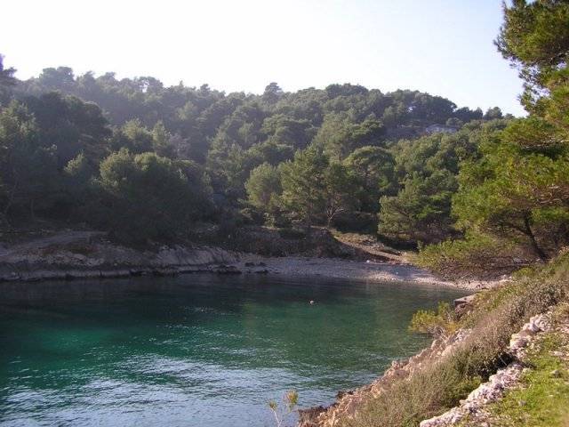 NEČUJAM