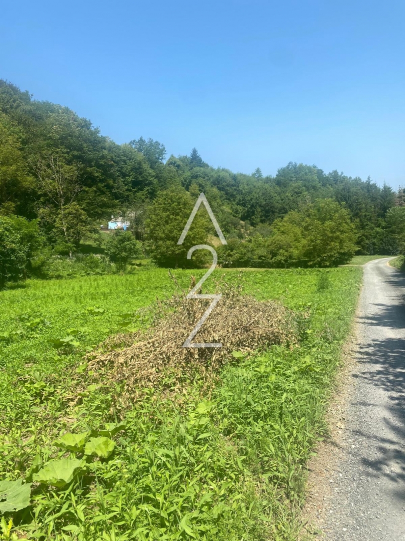 PIŠĆANOVEC