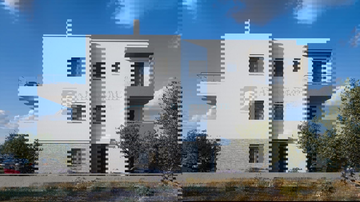 BRODARICA