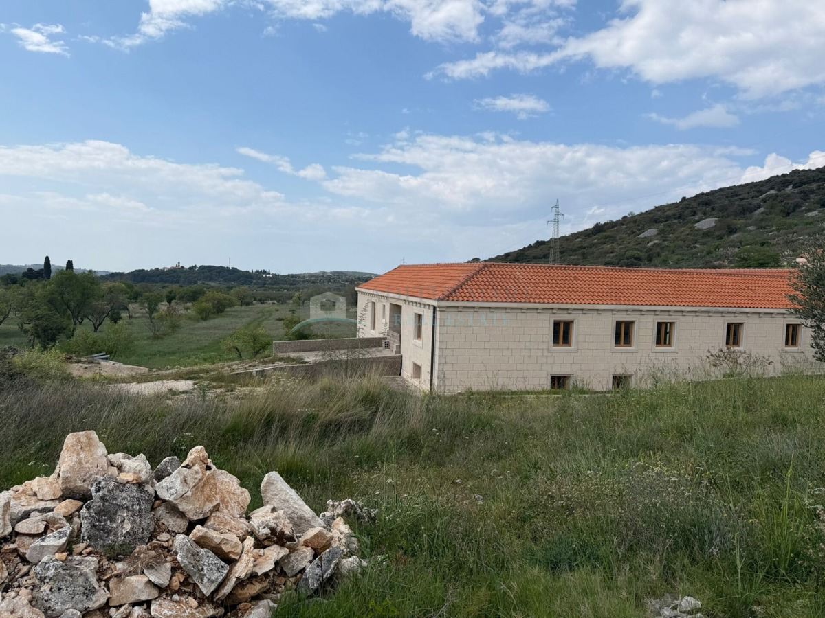 image 25