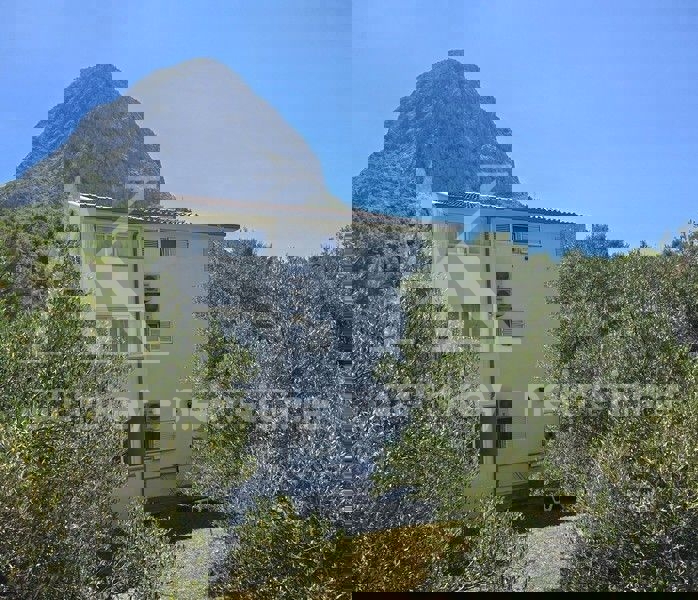 ZAOSTROG