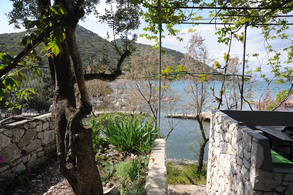 DUBRAVA